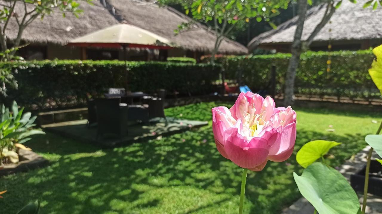 Mama Bella'S Retreat Bed & Breakfast เซงกีกี ภายนอก รูปภาพ